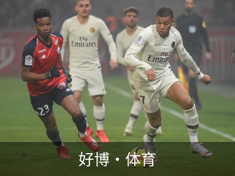 关于好博·体育